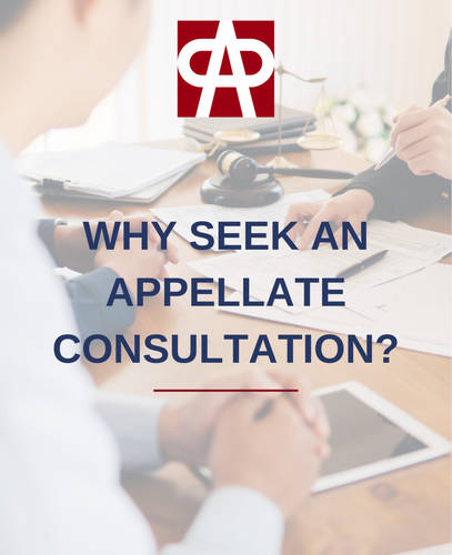 Why Seek an Appellate Consultation?