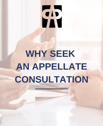 Why Seek an Appellate Consultation?