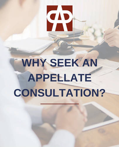 Why Seek an Appellate Consultation?